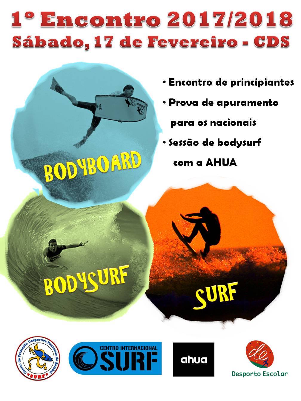 Surf Principiantes